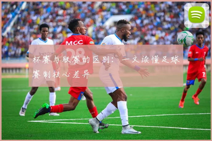 杯赛与联赛的区别：一文读懂足球赛制核心差异